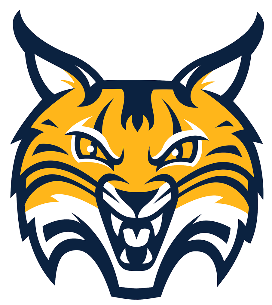 Quinnipiac Bobcats 2019-Pres Alternate Logo v3 diy DTF decal sticker